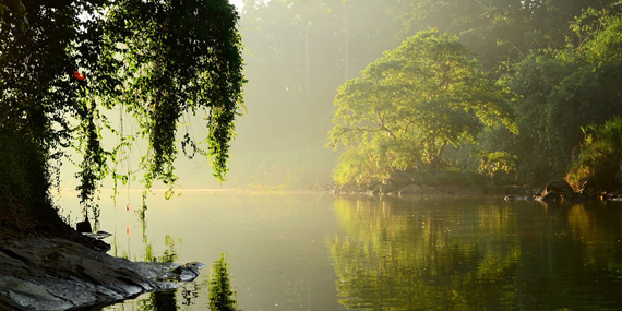 Flood Plains National Park 