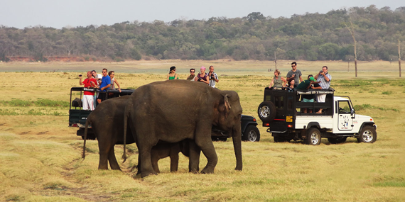 Wasgamuwa National Park 