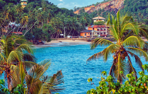 sri lanka tourism guide