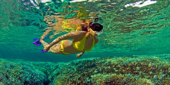 Snorkeling - Pigeon island