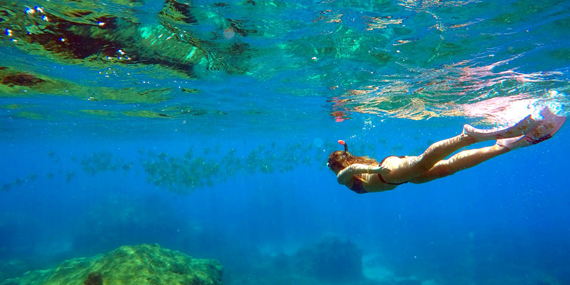 Snorkeling - Pigeon island