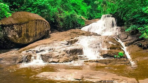 Yagirala Rainforest 