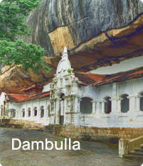 Dambulla