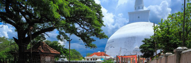 Travel from Mannar to Anuradhapura