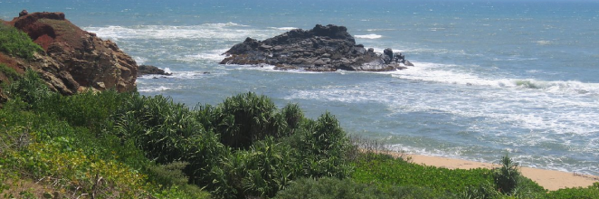 Wild life safari at Yala National Park and travel to Bentota