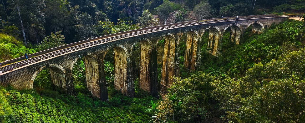 in bound tours in Sri Lanka