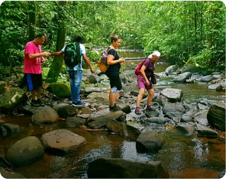 Waterfall and Rain Forest Trekking